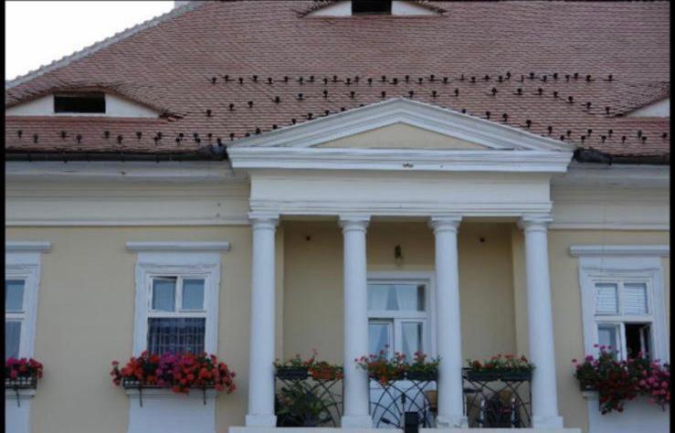 View Of Main Square Sibiu